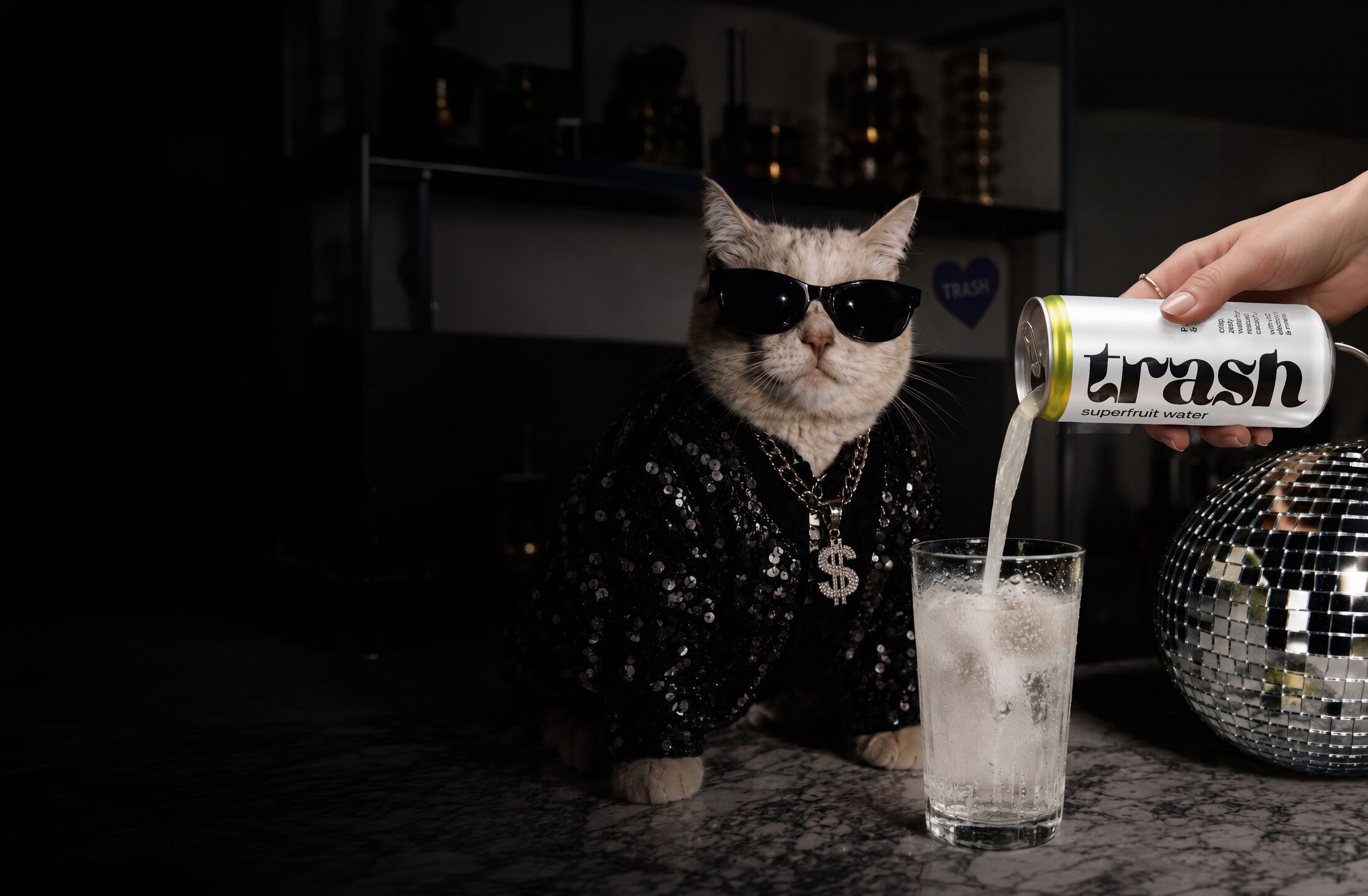 Cat with Trash drink